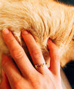 Bague Neige - Jolies-Trouvailles